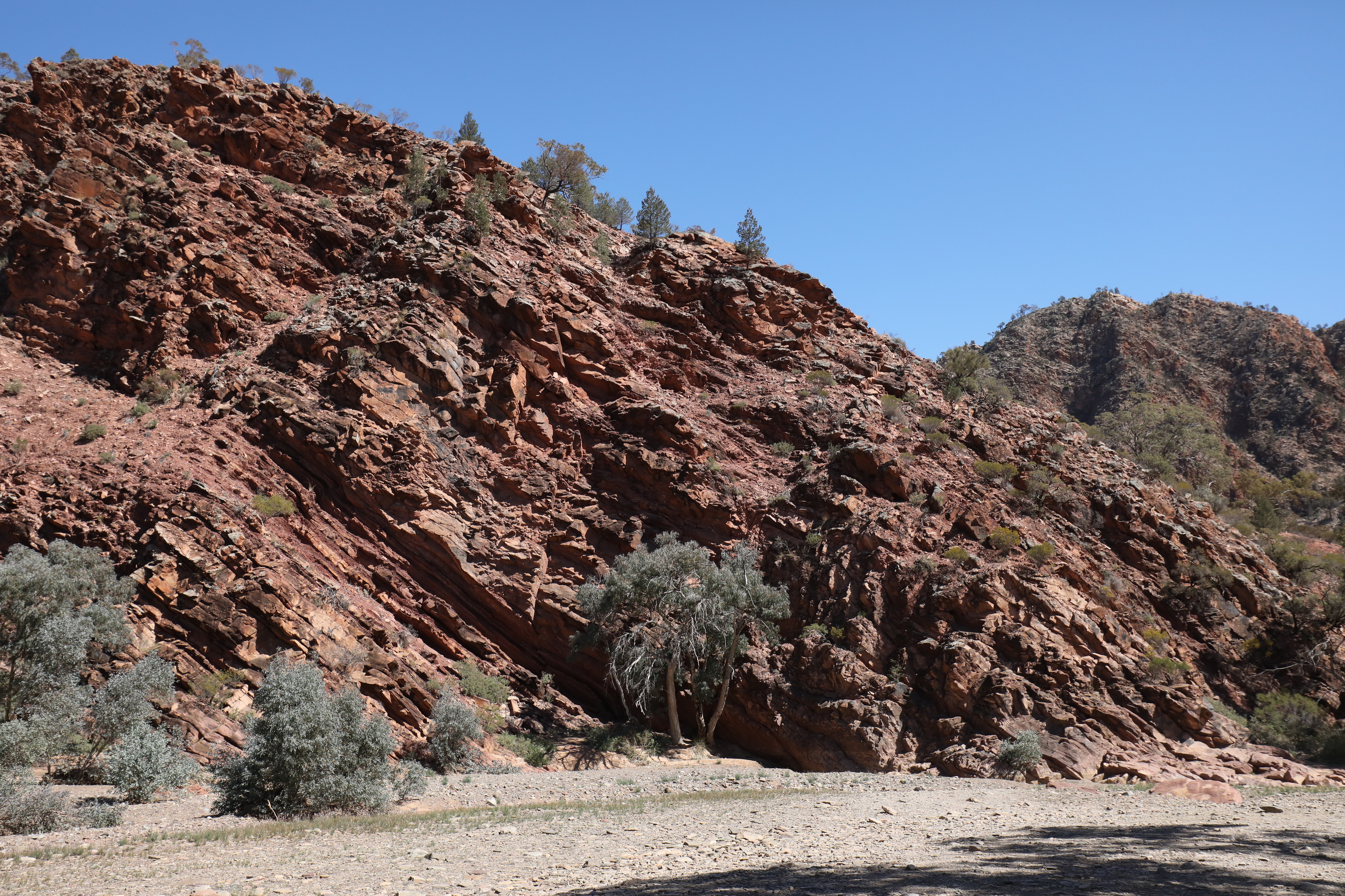 2019 09 01 12 32 35 Canon EOS 5D Mark IV 0015